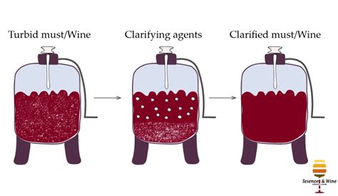 wine fining techniques